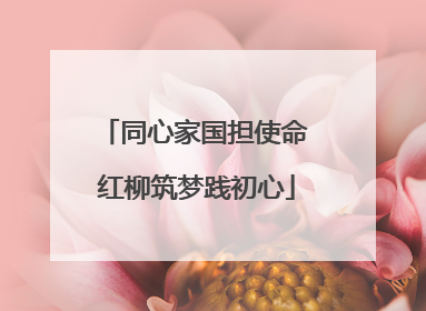 同心家国担使命 红柳筑梦践初心