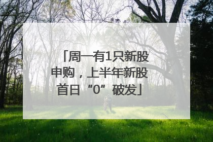 周一有1只新股申购，上半年新股首日“0”破发