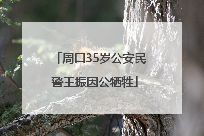 周口35岁公安民警王振因公牺牲