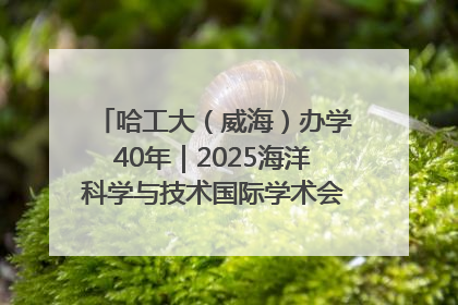 哈工大（威海）办学40年｜2025海洋科学与技术国际学术会议在威海召开