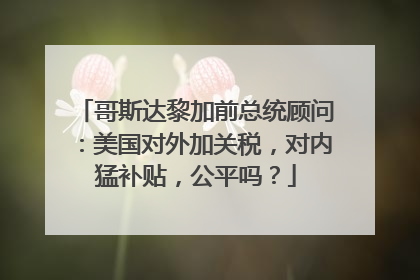 哥斯达黎加前总统顾问：美国对外加关税，对内猛补贴，公平吗？
