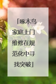 啄木鸟家庭上门维修在规范化中寻找突破