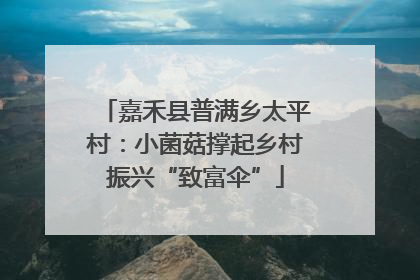 嘉禾县普满乡太平村：小菌菇撑起乡村振兴“致富伞”