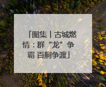 图集丨古城燃情：群“龙”争霸 百舸争渡