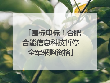 围标串标！合肥合能信息科技暂停全军采购资格