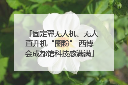 固定翼无人机、无人直升机“圈粉” 西博会成都馆科技感满满