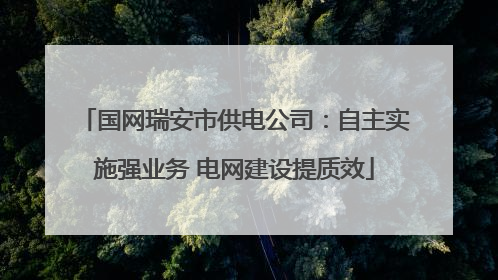 国网瑞安市供电公司：自主实施强业务 电网建设提质效