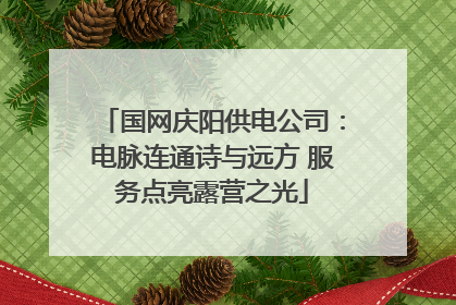 国网庆阳供电公司：电脉连通诗与远方 服务点亮露营之光