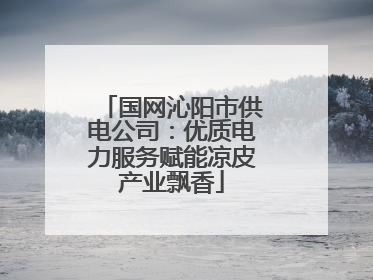 国网沁阳市供电公司：优质电力服务赋能凉皮产业飘香