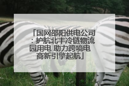 国网邵阳供电公司：护航北丰冷链物流园用电 助力跨境电商新引擎起航
