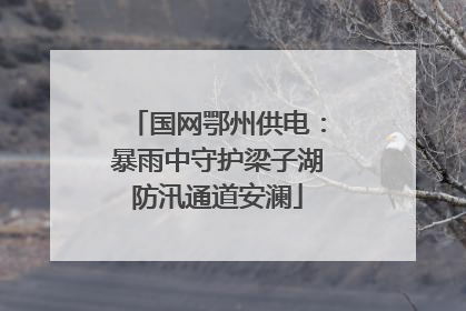 国网鄂州供电：暴雨中守护梁子湖防汛通道安澜