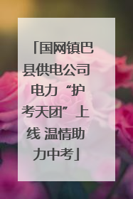 国网镇巴县供电公司 电力“护考天团”上线 温情助力中考