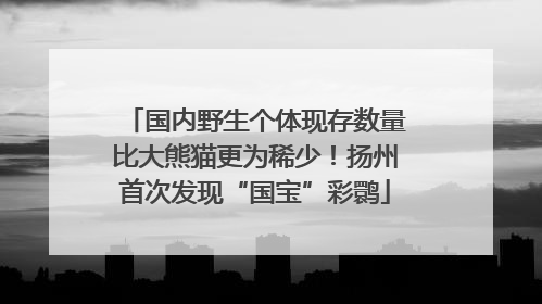 国内野生个体现存数量比大熊猫更为稀少！扬州首次发现“国宝”彩鹮