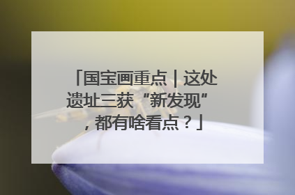 国宝画重点｜这处遗址三获“新发现”，都有啥看点？