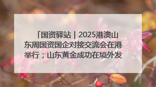 国资驿站｜2025港澳山东周国资国企对接交流会在港举行；山东黄金成功在境外发行3亿美元绿色债券