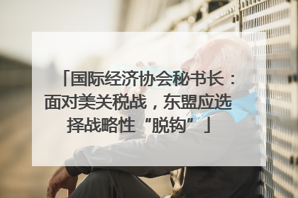 国际经济协会秘书长：面对美关税战，东盟应选择战略性“脱钩”