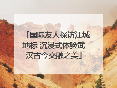 国际友人探访江城地标 沉浸式体验武汉古今交融之美
