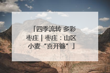 四季流转 多彩枣庄｜枣庄：山区小麦“喜开镰”