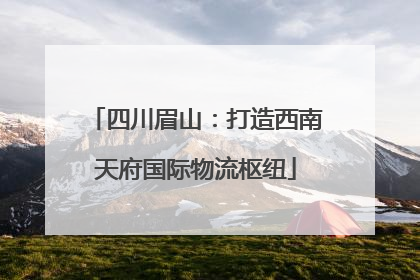 四川眉山：打造西南天府国际物流枢纽