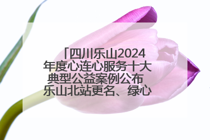 四川乐山2024年度心连心服务十大典型公益案例公布 乐山北站更名、绿心路井盖治理等上榜