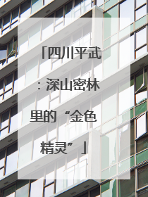 四川平武：深山密林里的“金色精灵”