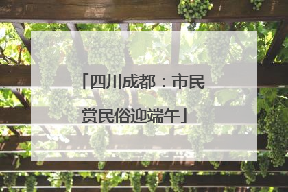 四川成都：市民赏民俗迎端午