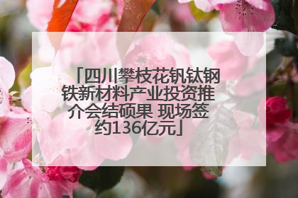 四川攀枝花钒钛钢铁新材料产业投资推介会结硕果 现场签约136亿元