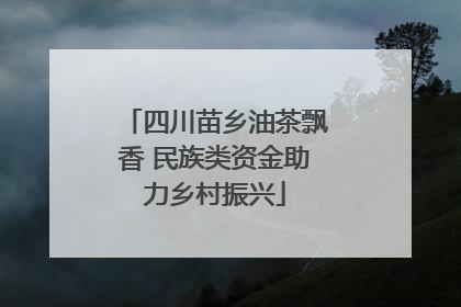 四川苗乡油茶飘香 民族类资金助力乡村振兴