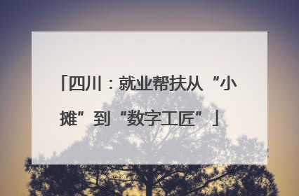 四川：就业帮扶从“小摊”到“数字工匠”