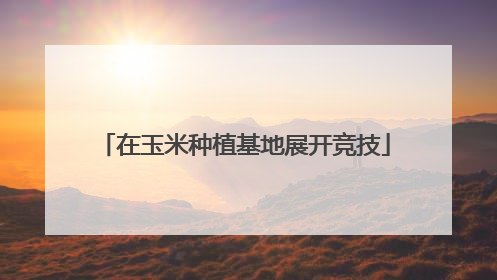 在玉米种植基地展开竞技