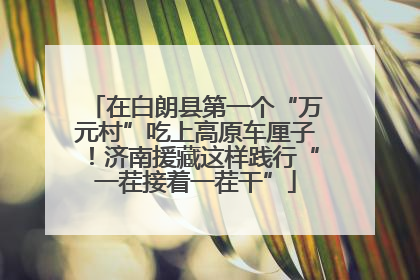 在白朗县第一个“万元村”吃上高原车厘子！济南援藏这样践行“一茬接着一茬干”