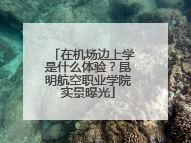 在机场边上学是什么体验？昆明航空职业学院实景曝光