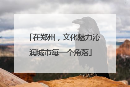 在郑州，文化魅力沁润城市每一个角落