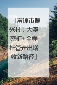 富锦市振兴村：大垄密植+全程托管走出增收新路径