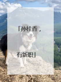 孙桂香，有新职