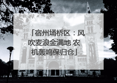 宿州埇桥区：风吹麦浪金满地 农机轰鸣保归仓