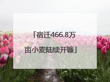 宿迁466.8万亩小麦陆续开镰