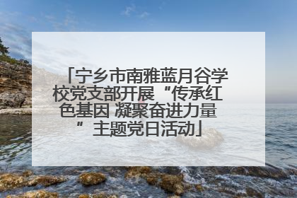 宁乡市南雅蓝月谷学校党支部开展“传承红色基因 凝聚奋进力量”主题党日活动