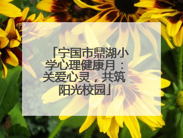 宁国市鼎湖小学心理健康月：关爱心灵，共筑阳光校园