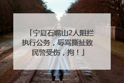 宁夏石嘴山2人阻拦执行公务，辱骂撕扯致民警受伤，拘！