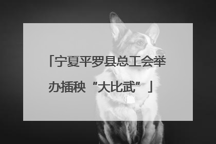 宁夏平罗县总工会举办插秧“大比武”