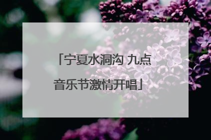 宁夏水洞沟 九点音乐节激情开唱
