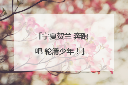 宁夏贺兰 奔跑吧 轮滑少年！