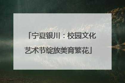 宁夏银川：校园文化艺术节绽放美育繁花