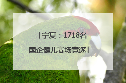 宁夏：1718名国企健儿赛场竞逐
