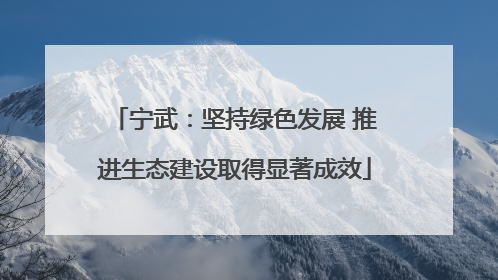 宁武：坚持绿色发展 推进生态建设取得显著成效