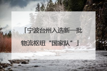 宁波台州入选新一批物流枢纽“国家队”
