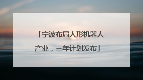 宁波布局人形机器人产业，三年计划发布