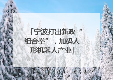 宁波打出新政“组合拳”，加码人形机器人产业