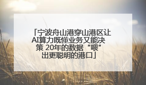 宁波舟山港穿山港区让AI算力既懂业务又能决策 20年的数据“喂”出更聪明的港口